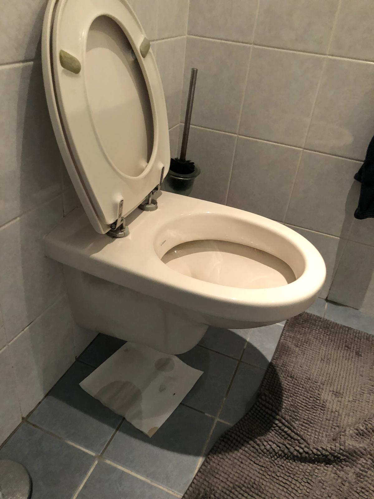 hangtoilet Woudenberg